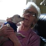 Carol Knapp - @gmacarolknapp - Instagram