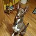 Carol Knapp - Facebook