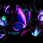 Carol Knapp - @carol.knapp.543 - Instagram