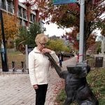 Carol Knapp - @carolknapp519 - Instagram