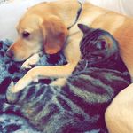 Carol Knapp - @carol.knapp.18 - Instagram