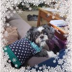 Carol Knapp - @carol.jazzy - Instagram