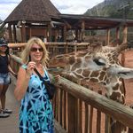 Carol Knappich - @carolknappich - Instagram