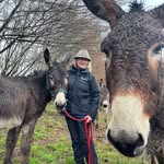 Carol Knott - @walking.with.donkeys - Instagram