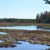 Carol Knowles - @carol.knowles0 - TikTok