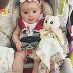 Carol Knox - @knox3211954 - Instagram