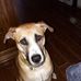 Carol Knox - Facebook