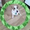 Carol Knudsen Lloyd - @carol.knudsen.llo - TikTok