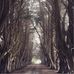 Carol Knudsen Photographic Artist - Facebook