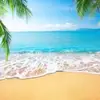 user2592237856314 - @carol.knupp - TikTok
