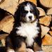 Carol Knuth - Facebook
