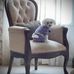 Carol Knuth - Facebook