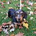 Carol Knutson - Facebook