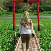 CarolkO Young - @carolkoyoung586586 - TikTok