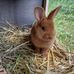 Karol Kobus - Facebook