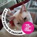 Carol Koch - Facebook