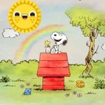 Carol Koch - @carol.koch.5682 - Instagram