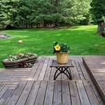 carol koehler - @koehler.carol - Instagram
