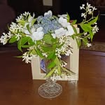 Carol Koehler Cima - @cima.carol - Instagram