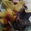 Carol Koehler Cima - @carol.koehler.cim - TikTok