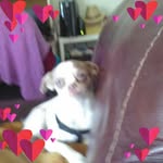 Carol Koenig - @carol.koenig.90 - Instagram