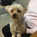 Carole Koenig - Facebook
