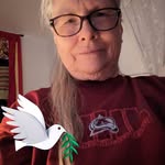 Carol Koeppen - @carol_koeppen - Instagram