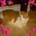 Carol Ann Koerner - Facebook