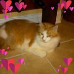 Carol Ann Koerner - @koernercarolann - Instagram