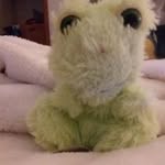 Carol Koerner - @carolkoerner - Instagram