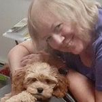 Carolyn Brochu Kogut - @luvyoga1 - Instagram