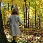 Carol Kolar - @kolarcarol - Instagram