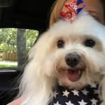 Carol Kolb Green - @carolkolbgreen - Instagram