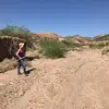 carolkoller406 - @carolkoller406 - TikTok