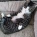 Carol Koontz - Facebook