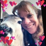 Carol Koop - @koopcarol - Instagram