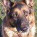 Carol Kopacz - Facebook
