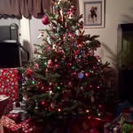 Carol Kosinski - @closinski - Instagram