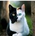 Carol Kikin - Facebook