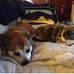 Carol Kovach - Facebook