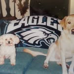 Carol Kovach Mitchell - @carolmitchell7295 - Instagram
