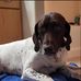 Carolyn Kovach - Facebook