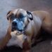 Carolyn Koval - Facebook