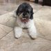 Carol Kraft - Facebook
