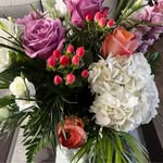Carol Kraft - @carolkraft26 - Instagram