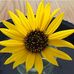 Carol Kraft - Facebook