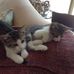 Carol Ann Krall - Facebook
