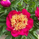 Carol Ann Kratz - @kratz1021 - Instagram