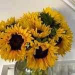 CarolKratz - @carolkratz59 - Instagram