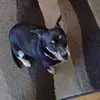 carolkratz - @carolkratz - TikTok